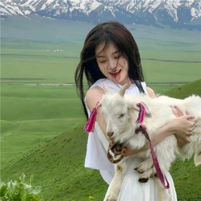公牛